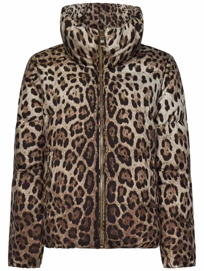 Dolce & Gabbana Down Jacket In Animal Print