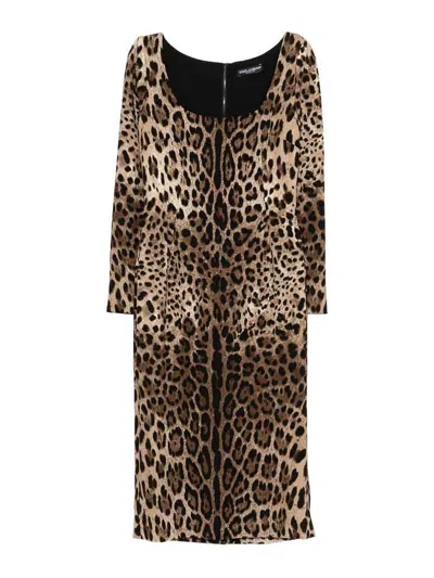 Dolce & Gabbana Dress In Brown