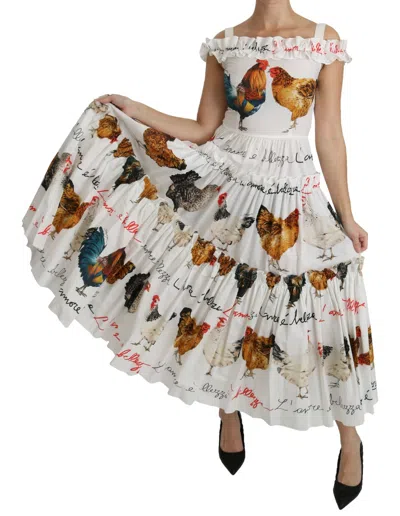 Pre-owned Dolce & Gabbana Dress Cotton White Rooster Sheath Midi It40 / Us6 / S Rrp $2800