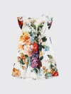 Dolce & Gabbana Flower-print Poplin Dress In Multi