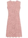 Dolce & Gabbana Floral Lace Overlay Dress With Scalloped Hem In Pink