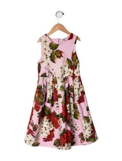 Pre-owned Dolce & Gabbana Kids' Dress In Pink