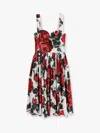 Dolce & Gabbana Women Midi Dress With Red Roses On A White Background In White