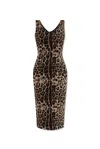 DOLCE & GABBANA DOLCE & GABBANA DRESS WITH ANIMAL PRINT