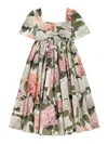 Dolce & Gabbana Hydrangea-print Poplin Dress In Multi