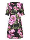 Shop Dolce & Gabbana Dresses