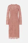 Dolce & Gabbana Women Branded Floral Cardonetto Lace Sheath Dress In Dark Powder Pink