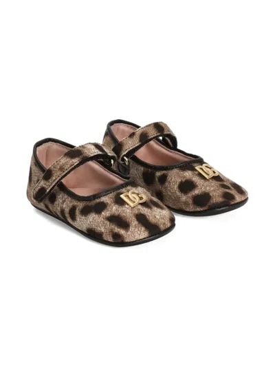 Dolce & Gabbana Babies' Drill Leopard-print Ballet Flats In Brown
