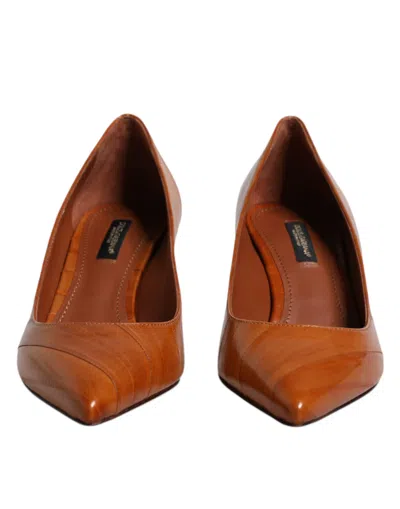 Dolce & Gabbana Eel Leather Kitten Pump In Brown