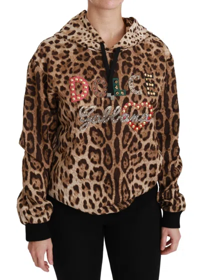 Dolce & Gabbana Leopard Print Hooded Cotton Blend Sweater In Brown