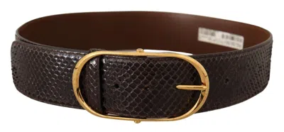 Dolce & Gabbana Elegant Python Leather Belt With Gold Women's Buckle In Brown