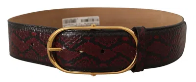 DOLCE & GABBANA DOLCE & GABBANA ELEGANT RED PYTHON LEATHER BELT WITH GOLD WOMEN'S BUCKLE