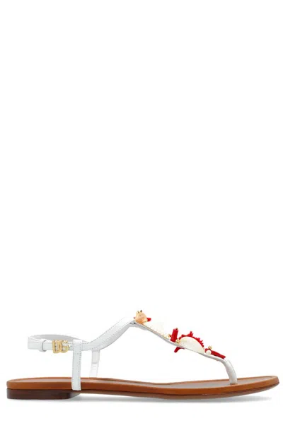 Dolce & Gabbana Coral-embroidered Leather Sandals In White
