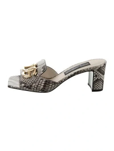 Pre-owned Dolce & Gabbana Embossed Leather Animal Print Slides In Neutral
