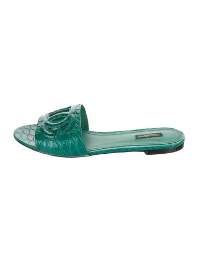 Pre-owned Dolce & Gabbana Embossed Leather Slides In Green