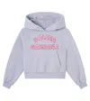 Dolce & Gabbana Embroidered Logo Cotton Hoodie In Gray