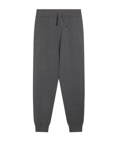 Dolce & Gabbana Embroidered-logo Trousers In Gray