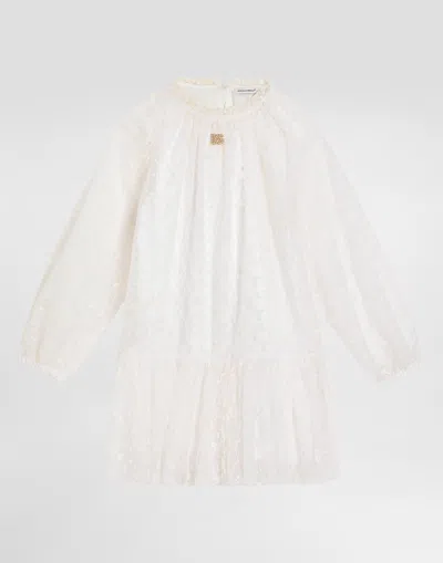 Dolce & Gabbana Embroidered Tulle Dress In Ricamati