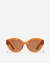 Dolce & Gabbana Everyday Flower Sunglasses In Transparent Orange