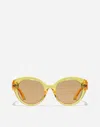 Dolce & Gabbana Everyday Flower Sunglasses In Transparent Yellow