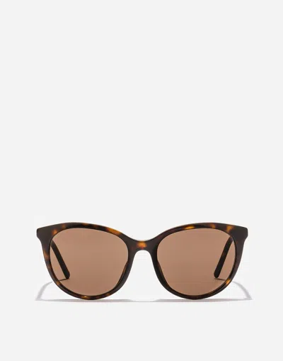 Dolce & Gabbana Everyday Sunglasses In Brown