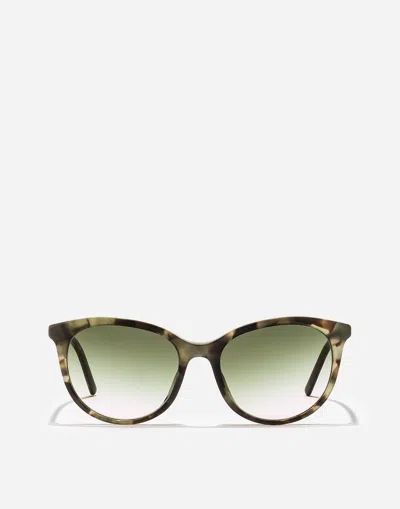 Dolce & Gabbana Everyday Sunglasses In Green