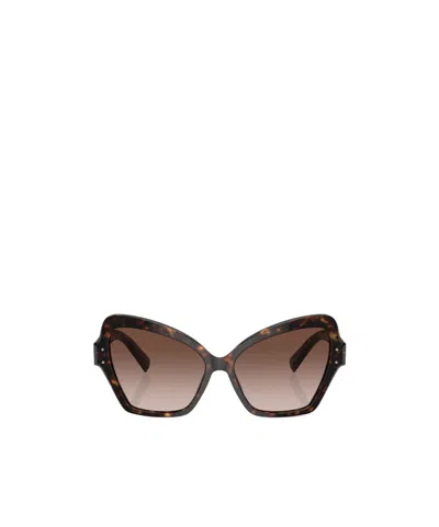 Dolce & Gabbana Dolce  Gabbana Eyewear Butterfly Frame Sunglasses In Black