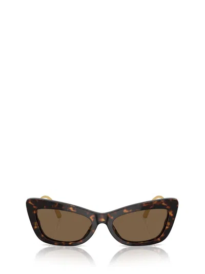 Dolce & Gabbana Acetate Dg4467b Sunglasses In Multi
