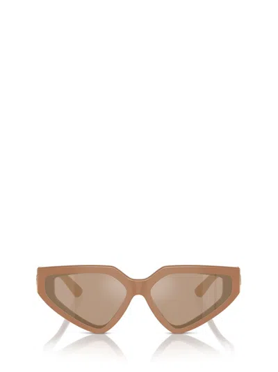 Dolce & Gabbana Eyewear Cat In Neutral