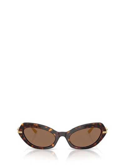 Dolce & Gabbana Eyewear Cat In Multi