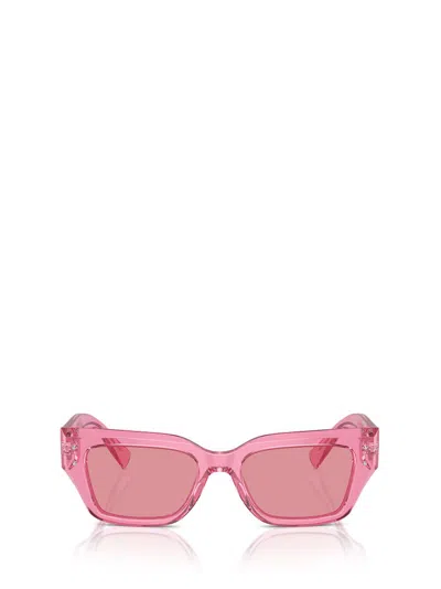 Dolce & Gabbana Eyewear Cat In Pink