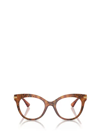 Dolce & Gabbana Eyewear In Havana Leo
