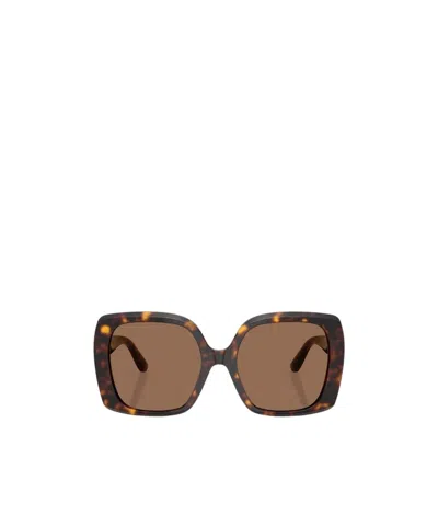Dolce & Gabbana Dolce  Gabbana Eyewear Square Frame Sunglasses In Brown