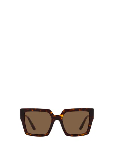 Dolce & Gabbana Eyewear Square Frame Sunglasses In Brown