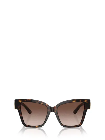 Dolce & Gabbana Precious Square-frame Sunglasses In Brown