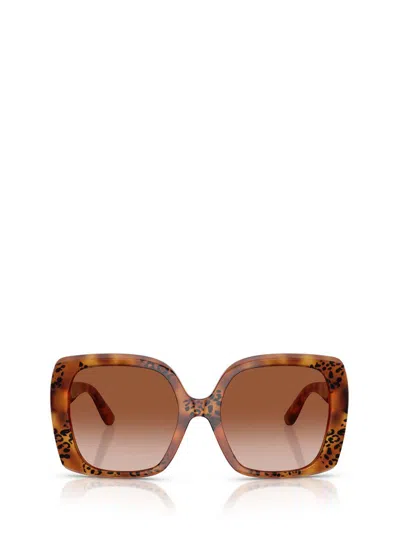 Dolce & Gabbana Womens Brown Dg4414 Square-frame Acetate Sunglasses In Multi