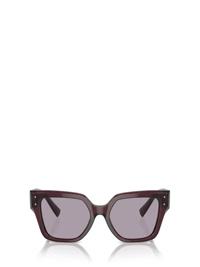 Dolce & Gabbana Eyewear Square Frame Sunglasses In Purple