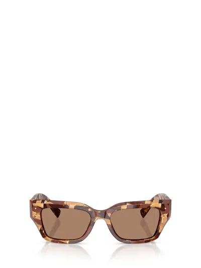 Dolce & Gabbana Eyewear Sunglasses In Brown