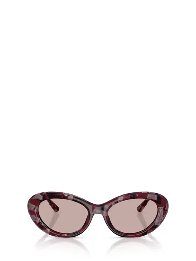 Dolce & Gabbana Eyewear Sunglasses In Brown