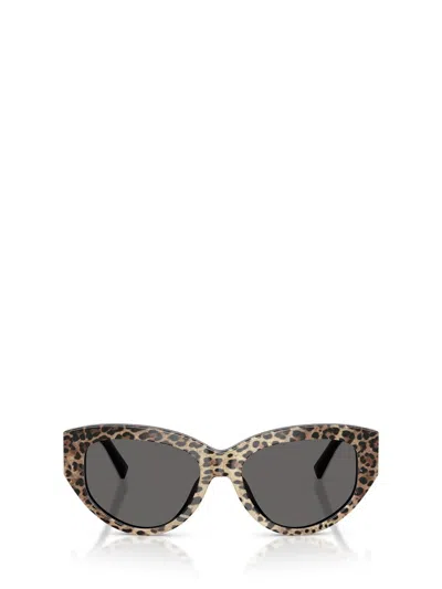 DOLCE & GABBANA DOLCE & GABBANA EYEWEAR SUNGLASSES