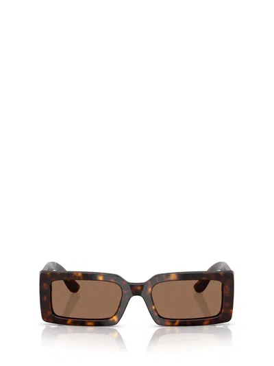 Dolce & Gabbana Eyewear Sunglasses In Brown