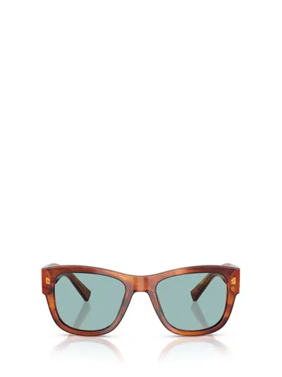 Dolce & Gabbana Eyewear Sunglasses In Brown