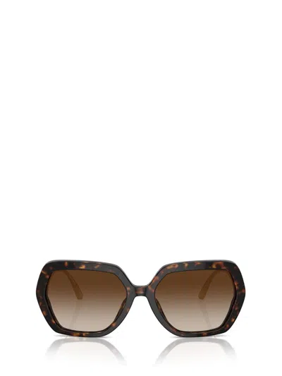 Dolce & Gabbana Crystal Oversize-frame Sunglasses In Brown