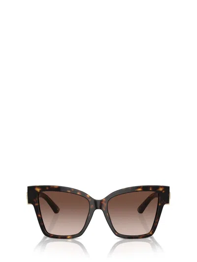 Dolce & Gabbana Eyewear Sunglasses In Brown