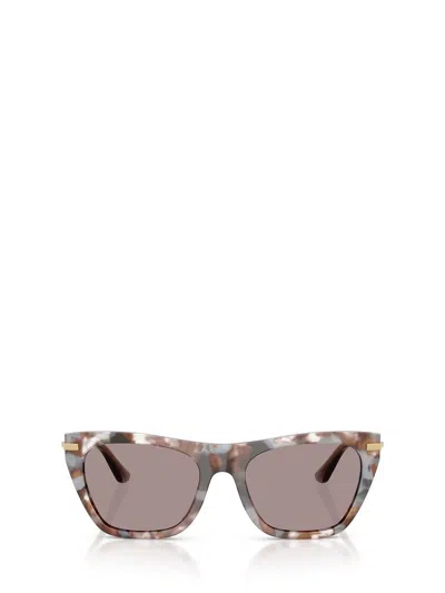 Dolce & Gabbana Eyewear Sunglasses In Multi