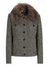 Dolce & Gabbana Faux Fur-collar Jacket In Multi