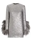 Dolce & Gabbana Feather-trim Mini Dress In Silver