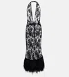 Dolce & Gabbana Feather-trimmed Floral Lace Midi Dress In Black