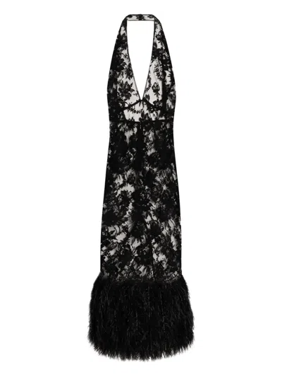 Dolce & Gabbana Feather-trimmed Lace Dress In Black