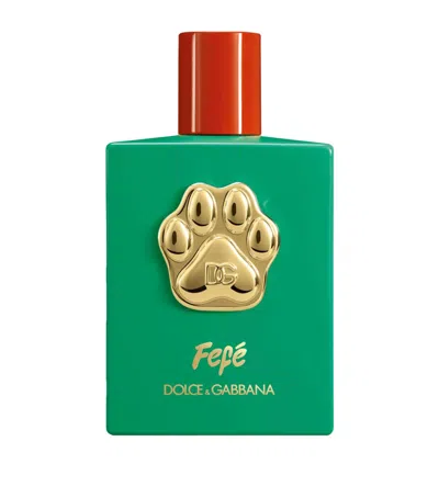 Dolce & Gabbana Fefé Dog Fragrance Mist In Green